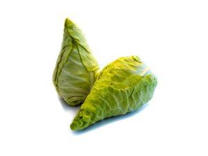 Spring green cabbage