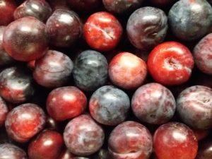 Plums 500g