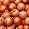Onions Pickling 5kg
