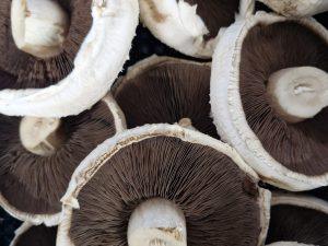 Mushrooms Flat 500g